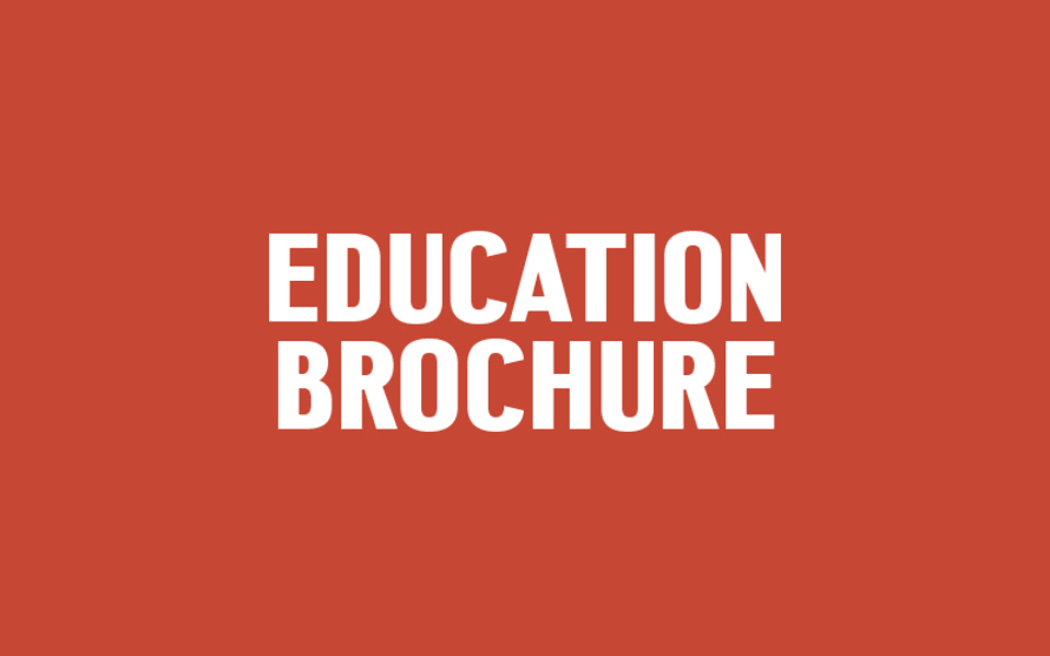 Education Brochure Icon